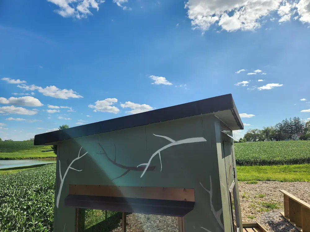 Amish Box Blinds