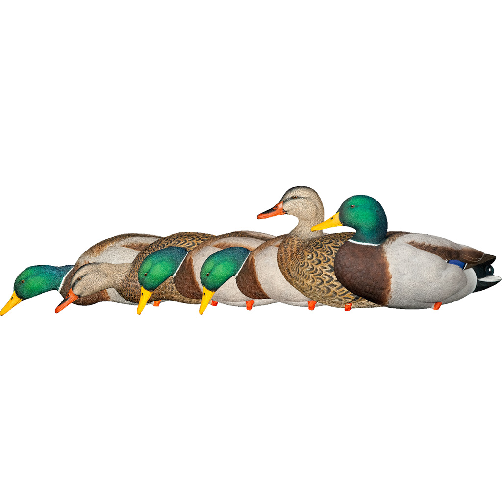 Avian X AXP Fusion Duck Decoys Mallards 6 pk.
