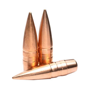 Lehigh Defense 04308150SP Match Solid 30-06Springfield/308Win/300WinMag 150gr Solid 50/Box