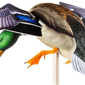 Avian X AVXAVXDP101 PowerFlight Mallard Spinning Wing Duck Decoy Multi-Color Dual Mode Remote