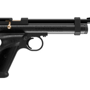 Daisy 2240 2240 Black Polymer CO2 22 Cal, Single Shot Bolt Action