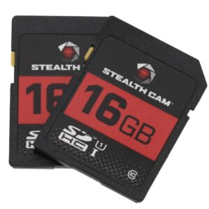STEAL STC-16GB2PK 16GB SD CARD 2PACK