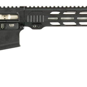 APF DMR 22ARC 2.0 18in rifle with Magpul ACS stock and 15in M-LOK handguard