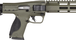 S&W M&P FPC 10MM FOLDING - CARBINE 16.25" 3-15RD MAGS ODG