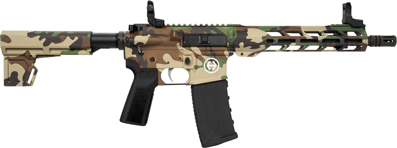 HIPOINT PISTOL HP-15 5.56 - 10.5" 30RD BLADE BRACE M81
