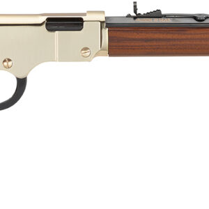 HENRY GOLDEN BOY 22LR 20 BRASS FRAME