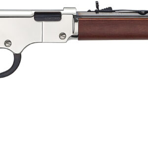 HENRY SILVER BOY 22LR 20