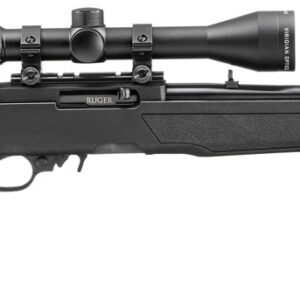 RUG 10/22 22LR 18.5 BLK 10RD SCOPED