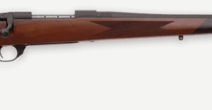 WBY VANGUARD 2 25-06 24 TB SPORTER