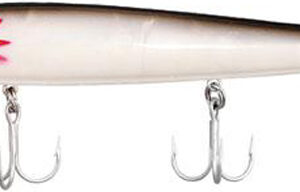 COR RED FIN 1-SMOKEY JOE