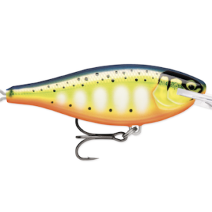 SHAD RAP ELITE 55 GILDED HOT STEEL