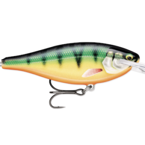 SHAD RAP ELITE 55 GILDED PERCH