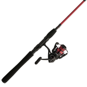 PENN FIERCE IV COMBO 9' 2PC 6000