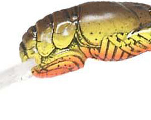 REB WEE CRAW 2" 1/5-CHT/BRN