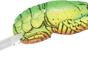 REB TEENY WEE CRAW 1/10-CHT/GR