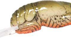 REB TEENY WEE CRAW 1/10-CRAWFISH