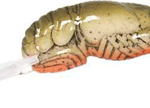 REB BIG CRAW  2 5/8" STREAM CRAW