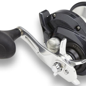SHIMANO TORIUM SW 6.2 4BB CAST