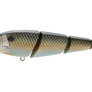 SASHIMMY SWIMMER 105 KILLER GILL