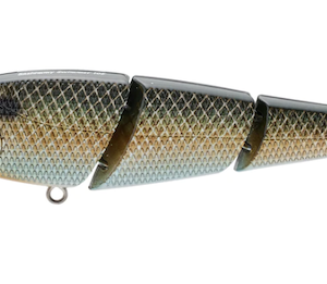 SASHIMMY SWIMMER 125 KILLER GILL