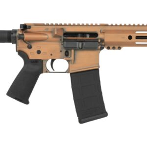 Shark Coast Tactical SCC07244PEN-P Penny 5.56 NATO 30+1 10.50" Black Nitride Threaded Barrel, Aluminum Receiver w/Picatinny Rail, M-LOK Handguard, Black Polymer SB Tactical SBA3 Brace, Polymer Grip