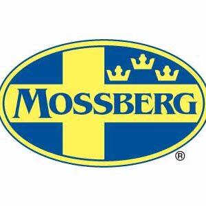 MOSSBERG PATRIOT 270WIN BL/SS 22" TB  #