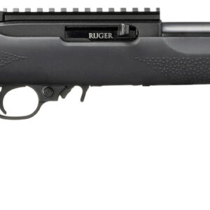 RUG 10/22 22LR 16.12 BLK HOGUE 10RD