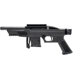 ROSSI RS22P 22LR BLK 6" 10RD BRACE